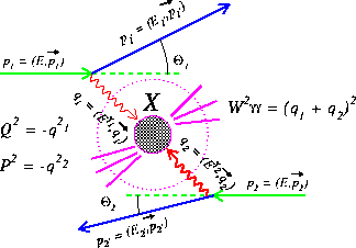 Two photon collision at LEP