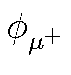 $ \phi_{\mu ^+}^{}$