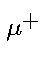 $\scriptstyle \mu^{+}$