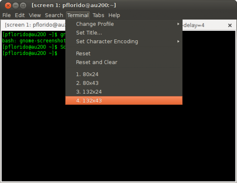 Terminal options to reset size